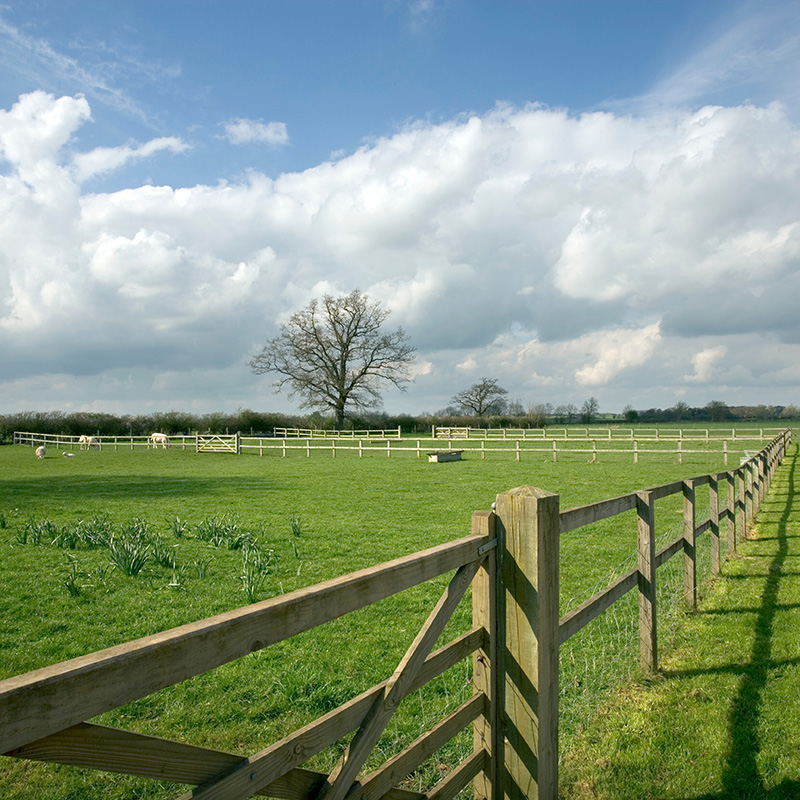 Field Fencing with Bottom Wire