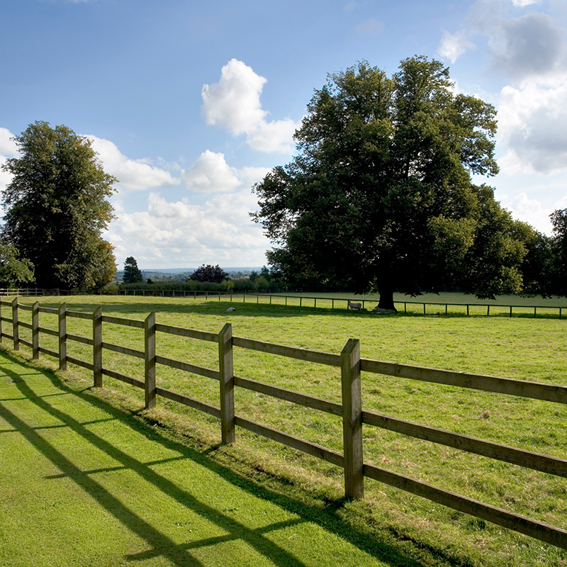 Field Fencing with Wire