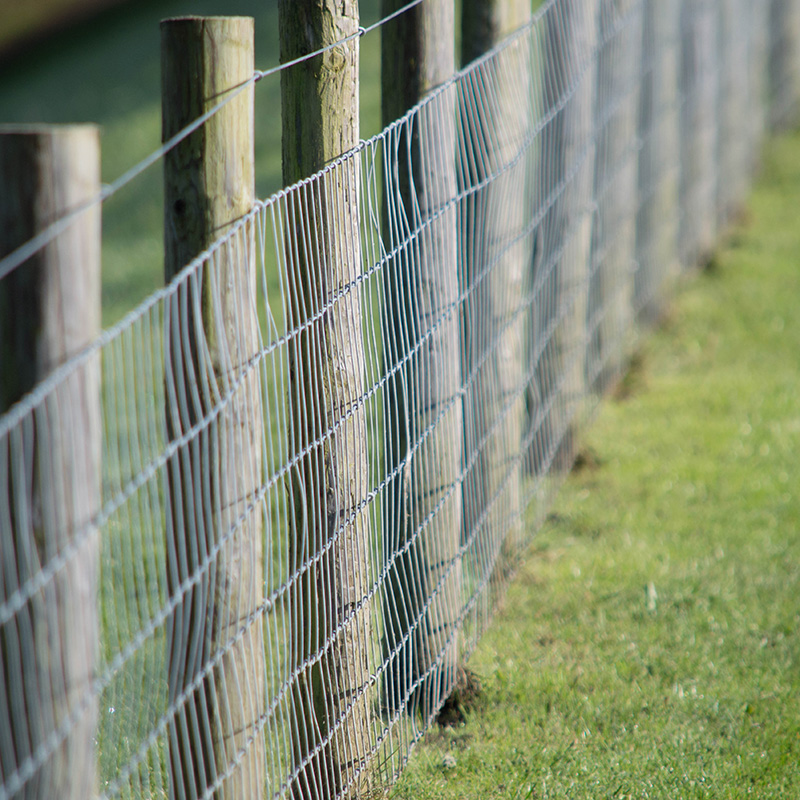 Field Fencing with Wire