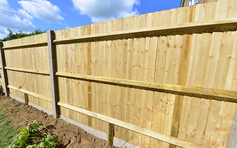 Backyard Fencing