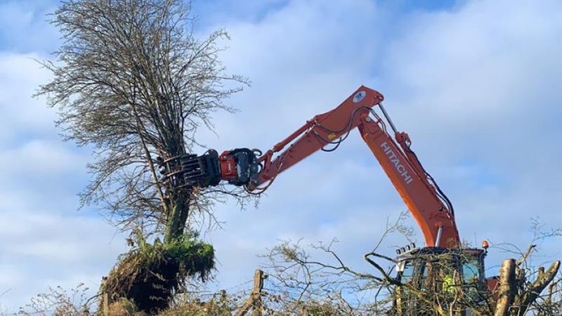 Industrial hedge cutting and mulching